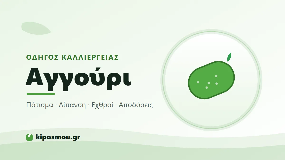 Τρυφερά πράσινα αγγούρια στο φυτό